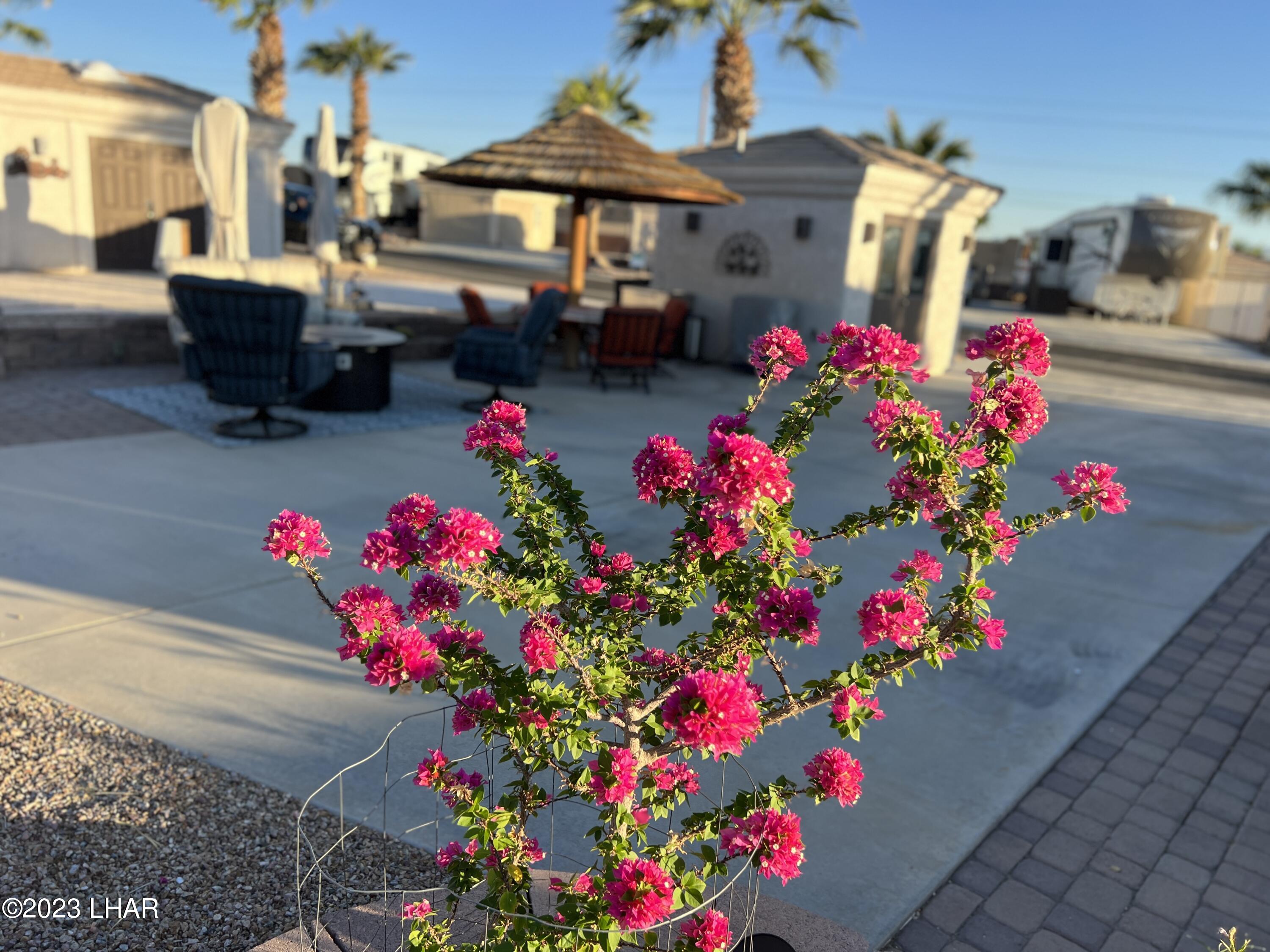 1905 Victoria Farms Road, Unit 52 Lake Havasu City, AZ 86404 - Photo 4 of 19 IMG_6219