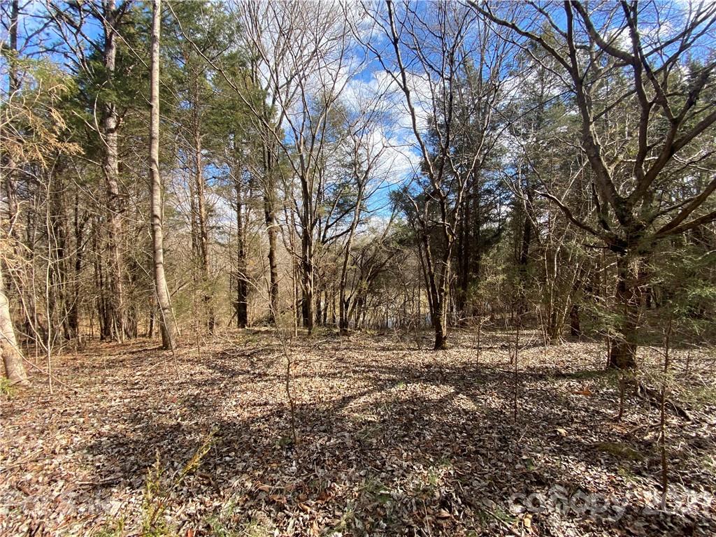 0 Parks Road Woodleaf, NC 27054 - Photo 2 of 5 a view of dirt yard with a large tree