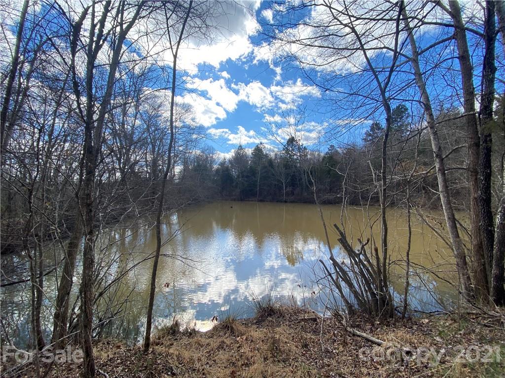 0 Parks Road Woodleaf, NC 27054 - Photo 3 of 5 a view of a lake from a yard
