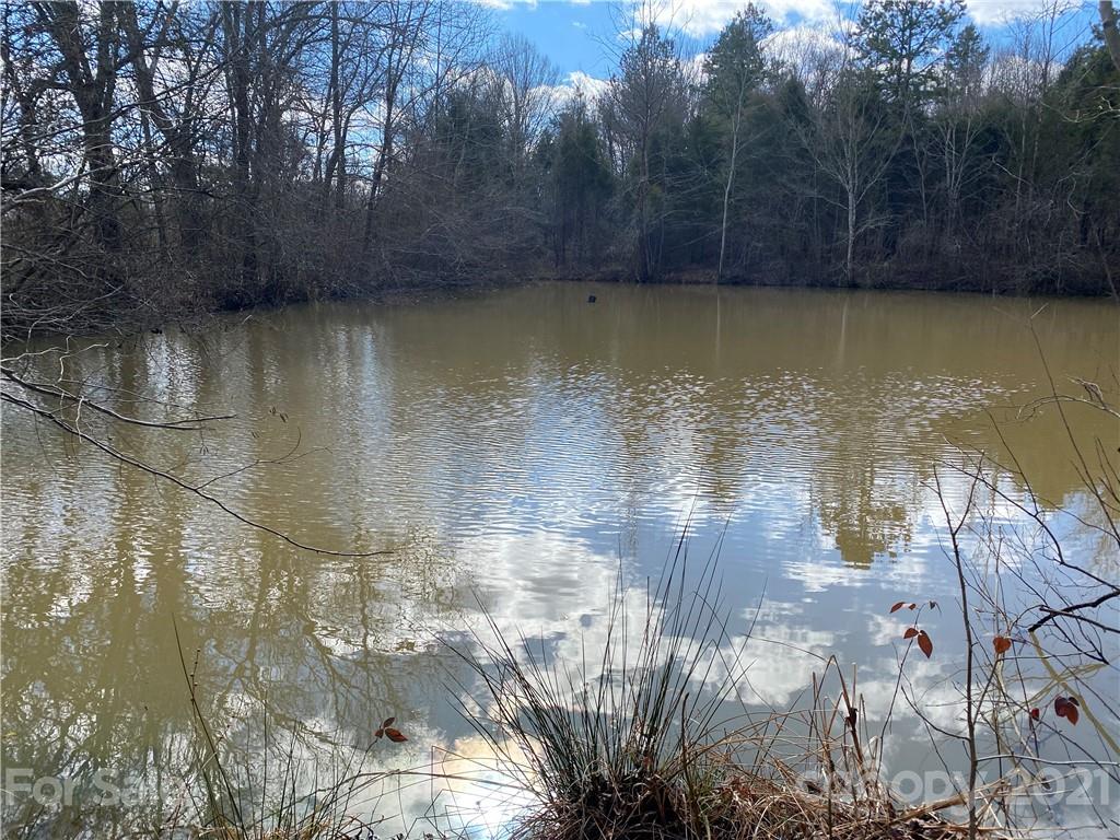 0 Parks Road Woodleaf, NC 27054 - Photo 4 of 5 a view of a water pond