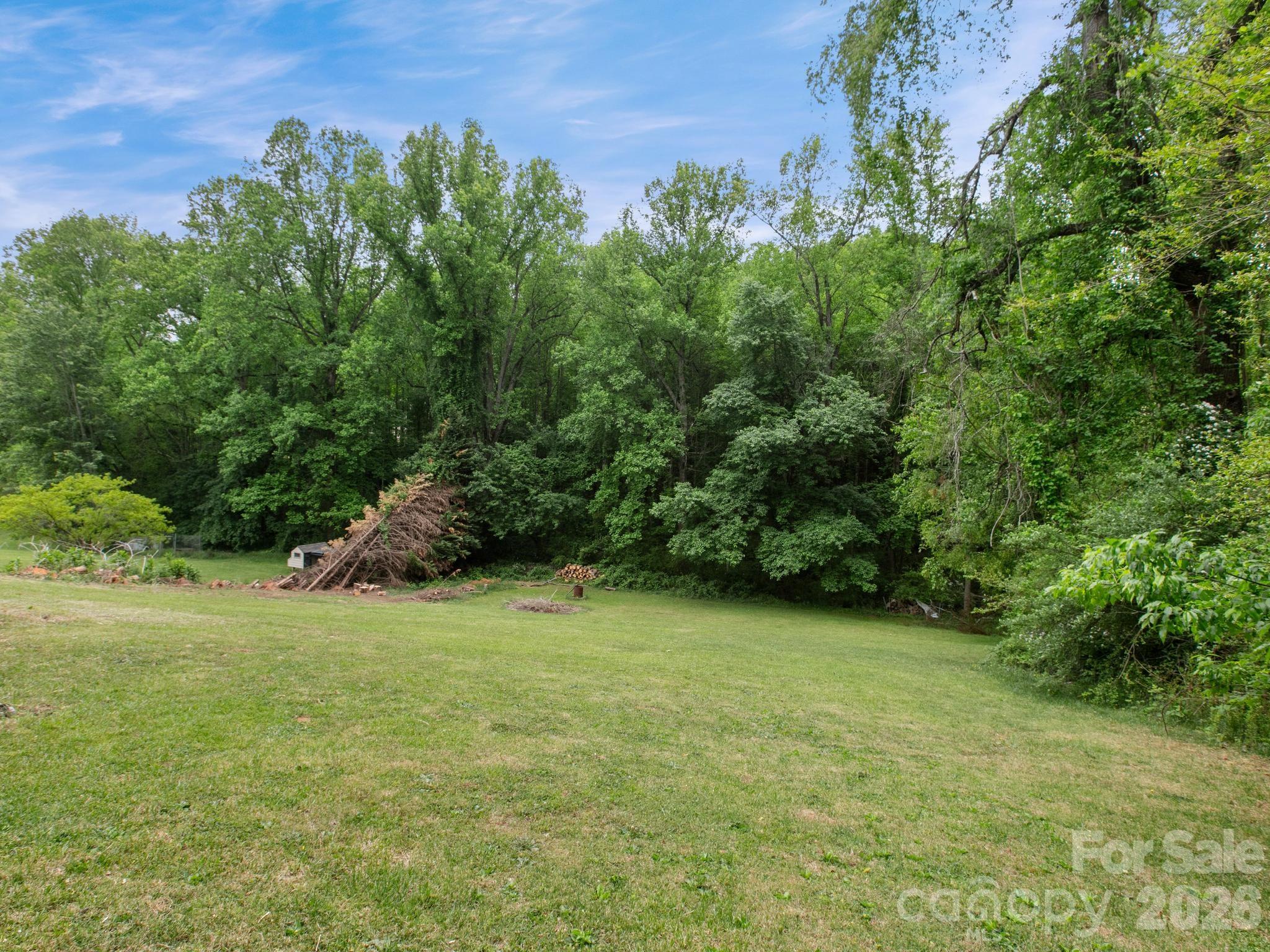38 Brown Lynch Road Candler, NC 28715 - Photo 26 of 28