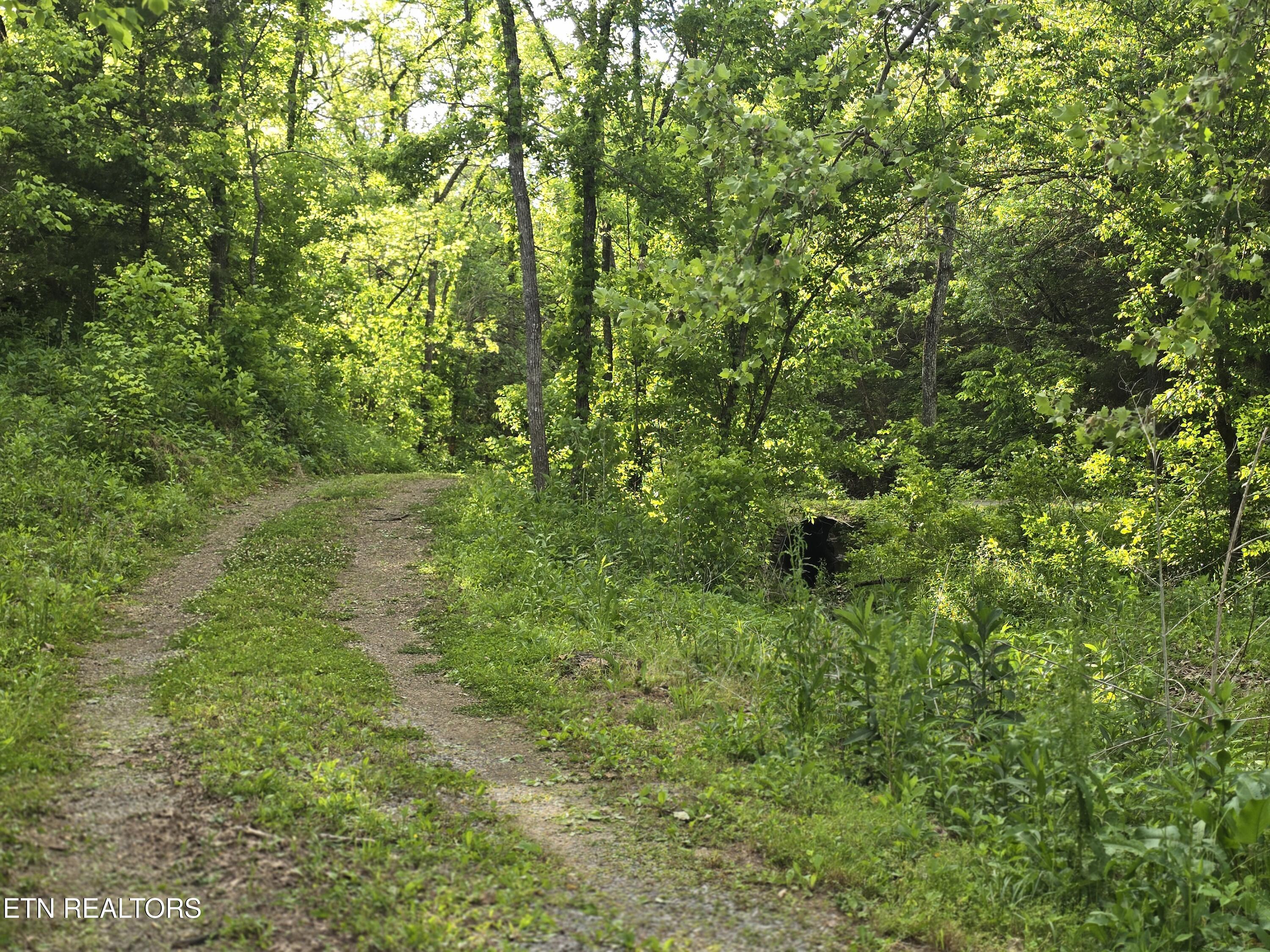 2615 Stoney Fork Road Sneedville, TN 37869 - Photo 52 of 60 20260514_183619