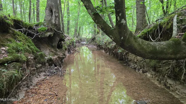 $142,800 | Pearson Road, Stewart, MS 39767