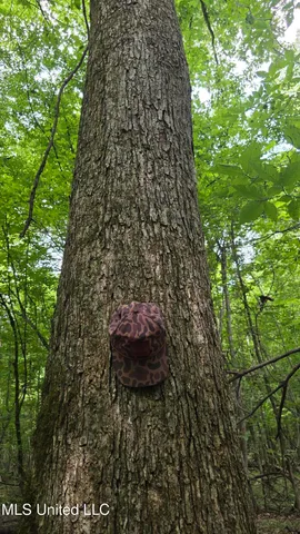 $142,800 | Pearson Road, Stewart, MS 39767