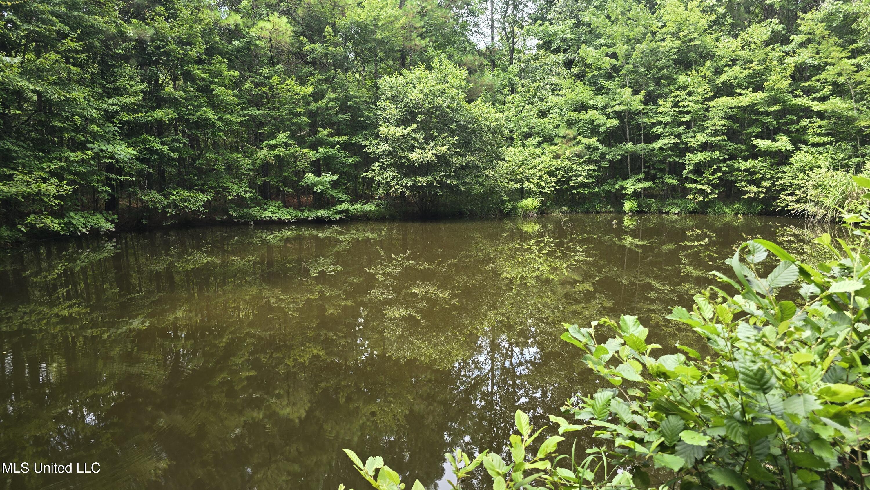 Pearson Road Stewart, MS 39767 - Photo 14 of 55 20250703_145639