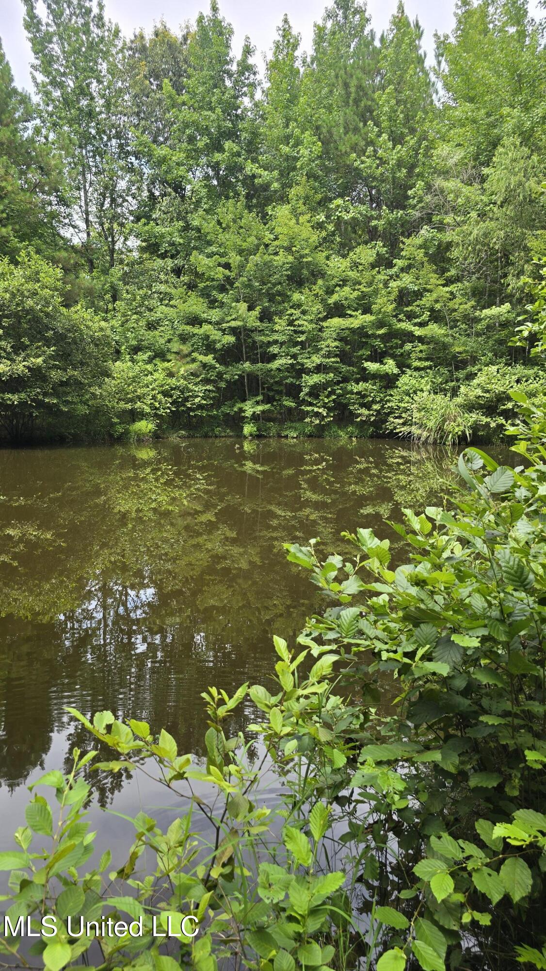 Pearson Road Stewart, MS 39767 - Photo 15 of 55 20250703_145645