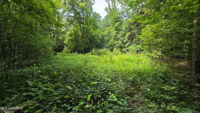 $142,800 | Pearson Road, Stewart, MS 39767