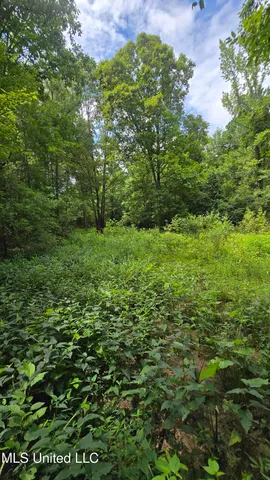 $142,800 | Pearson Road, Stewart, MS 39767