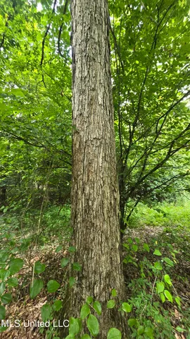 $142,800 | Pearson Road, Stewart, MS 39767