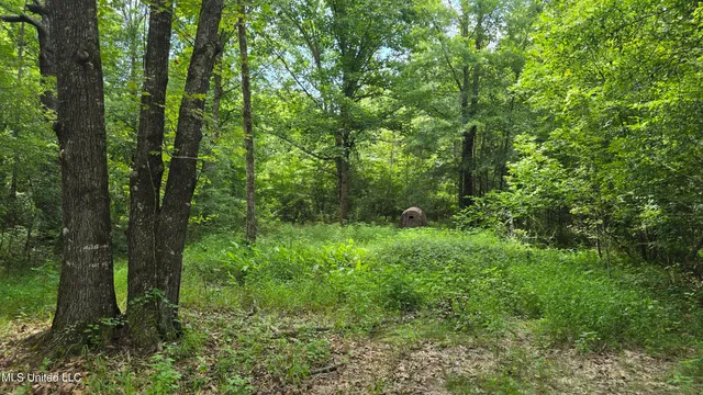 $142,800 | Pearson Road, Stewart, MS 39767