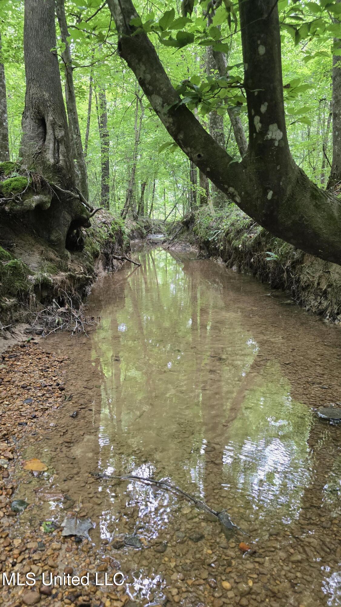 Pearson Road Stewart, MS 39767 - Photo 24 of 55 20250703_144725