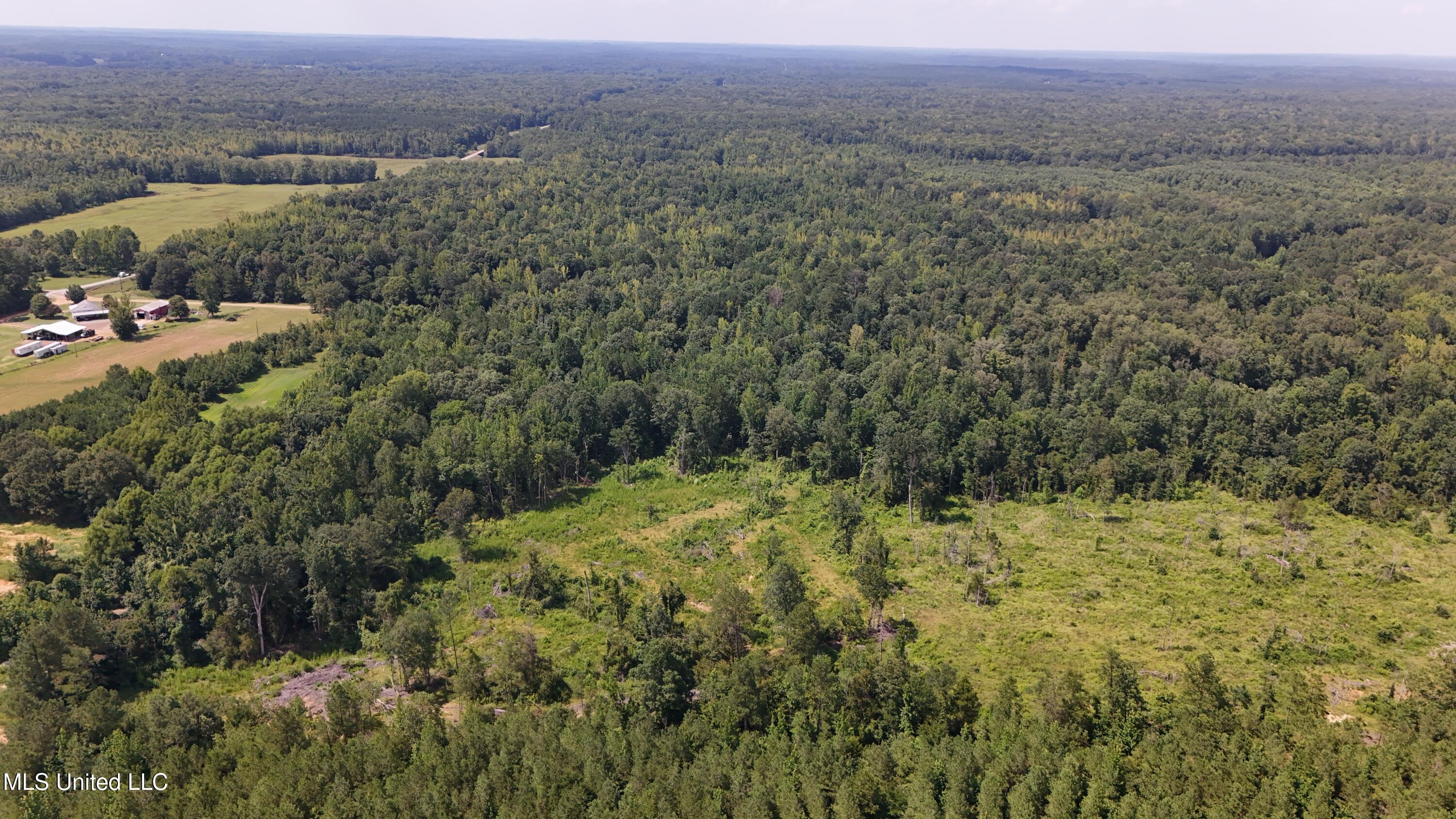 Pearson Road Stewart, MS 39767 - Photo 25 of 55 DJI_20250703154625_0839_D