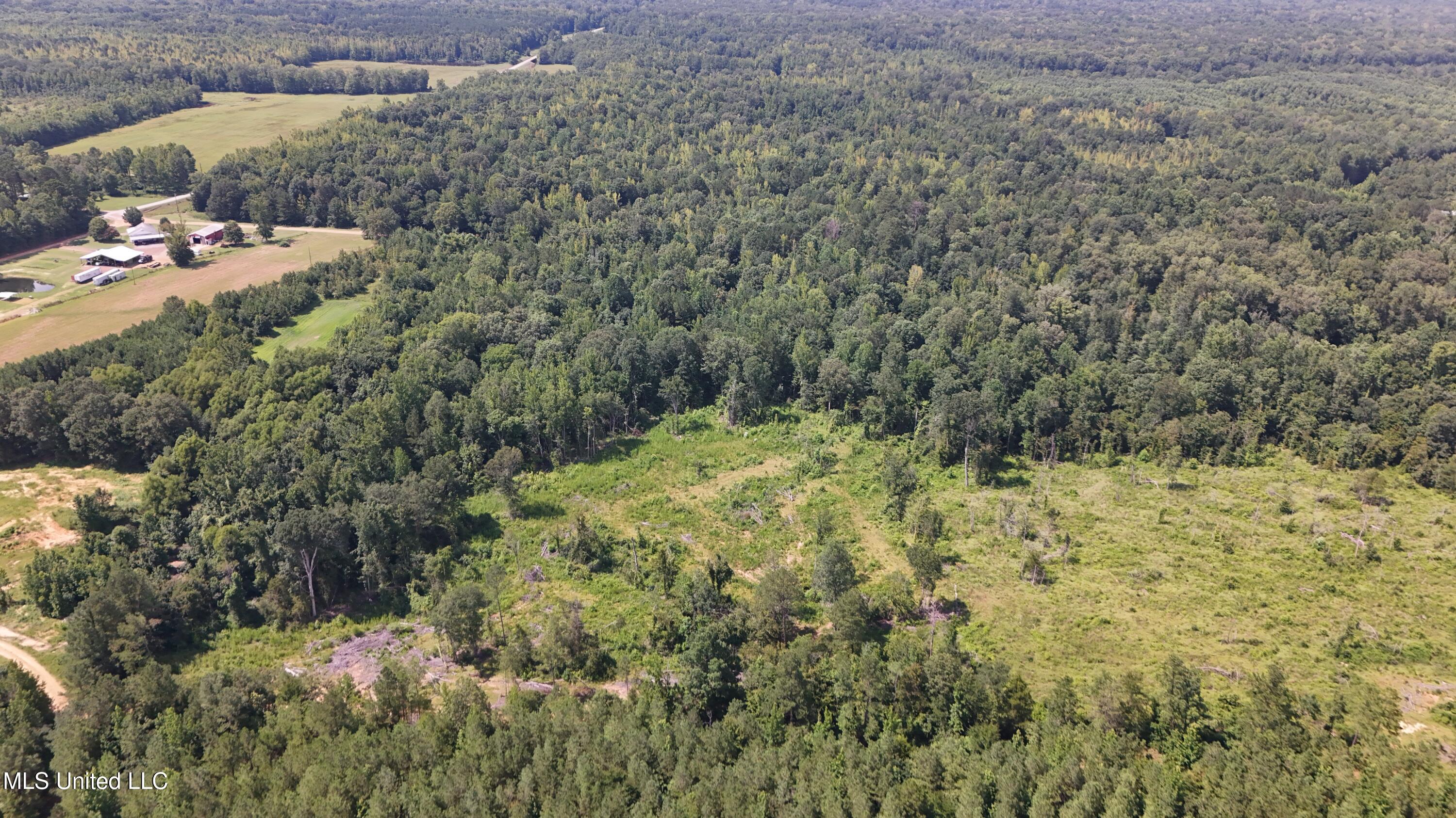 Pearson Road Stewart, MS 39767 - Photo 26 of 55 DJI_20250703154637_0840_D