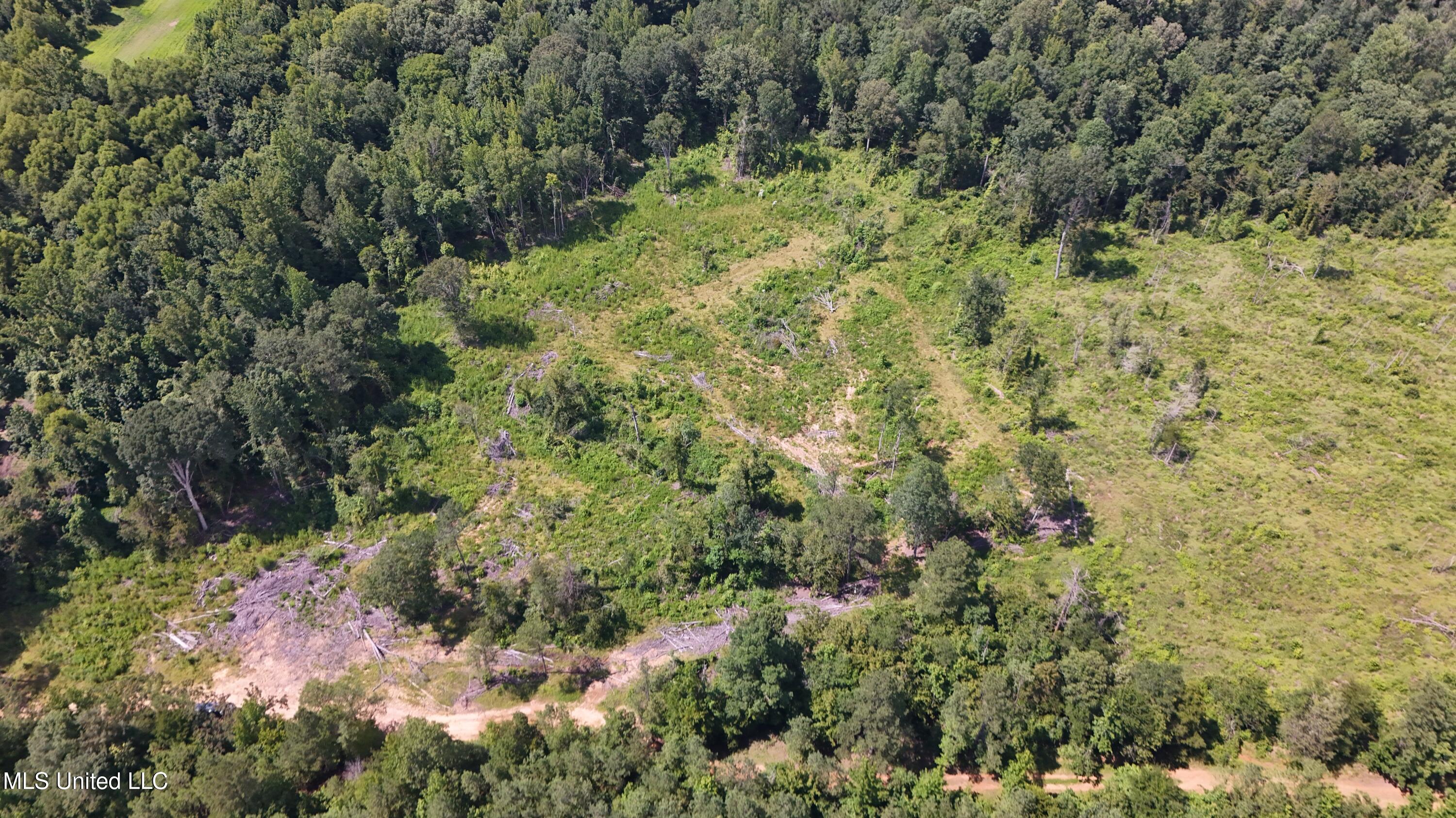 Pearson Road Stewart, MS 39767 - Photo 27 of 55 DJI_20250703154648_0841_D
