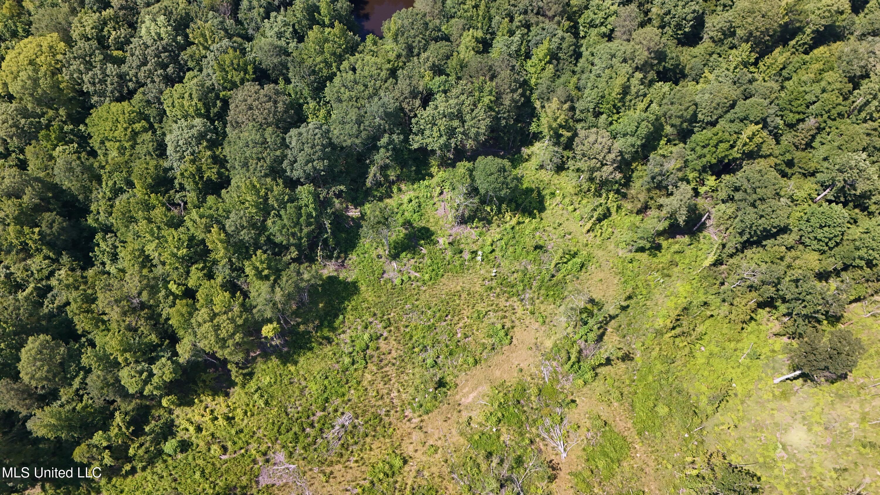 Pearson Road Stewart, MS 39767 - Photo 28 of 55 DJI_20250703154711_0842_D
