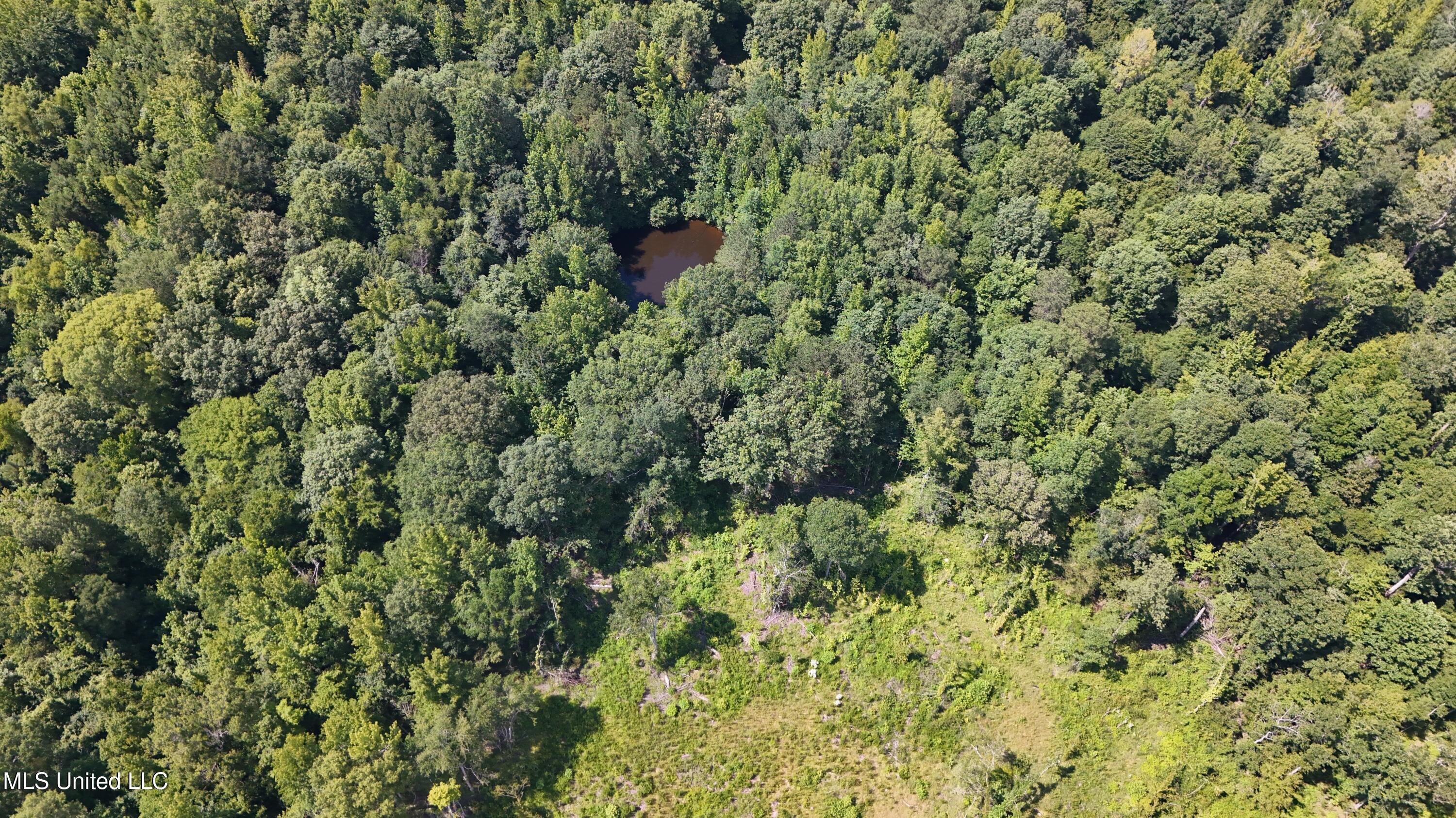 Pearson Road Stewart, MS 39767 - Photo 29 of 55 DJI_20250703154714_0843_D