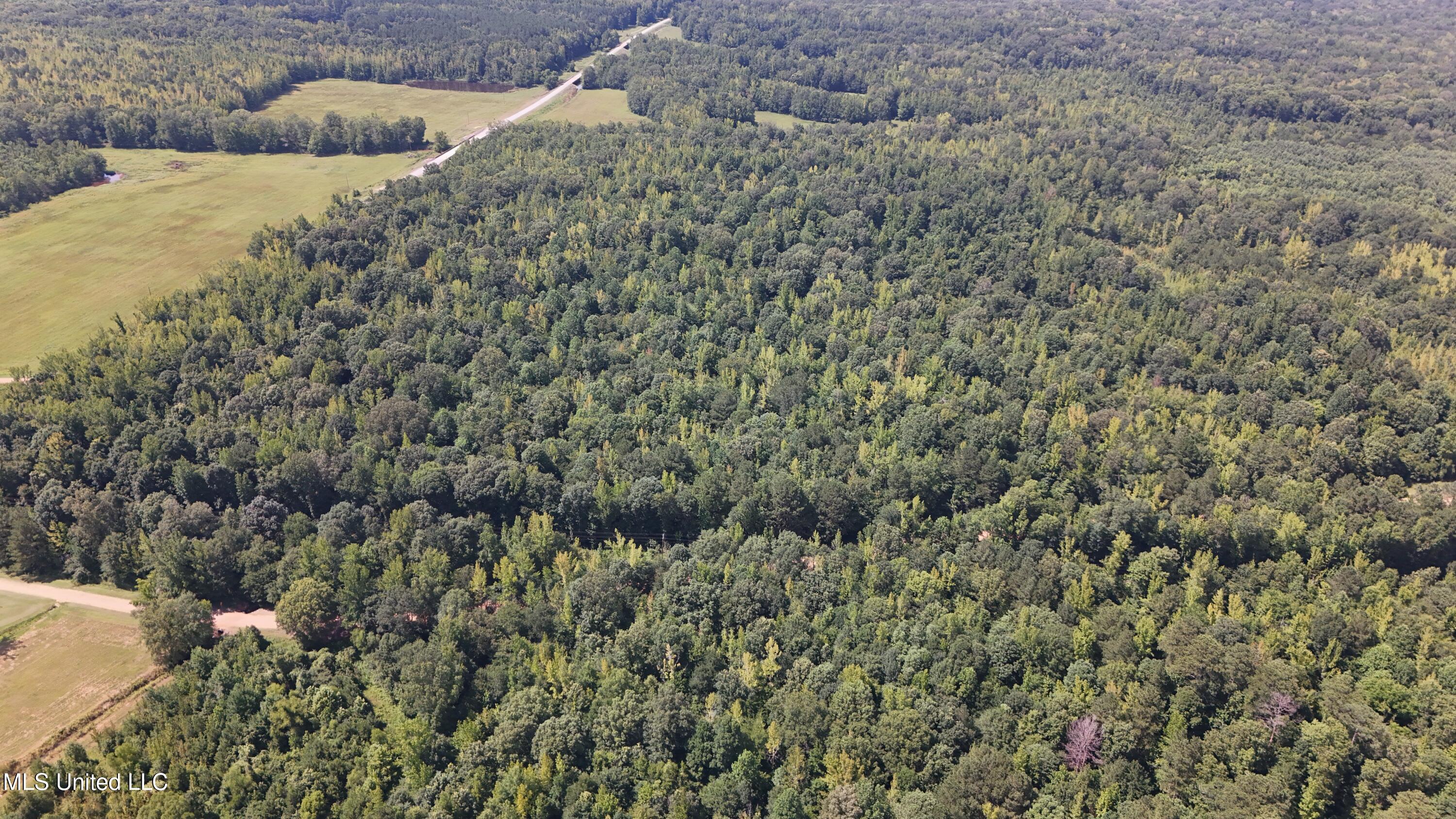 Pearson Road Stewart, MS 39767 - Photo 31 of 55 DJI_20250703154725_0844_D