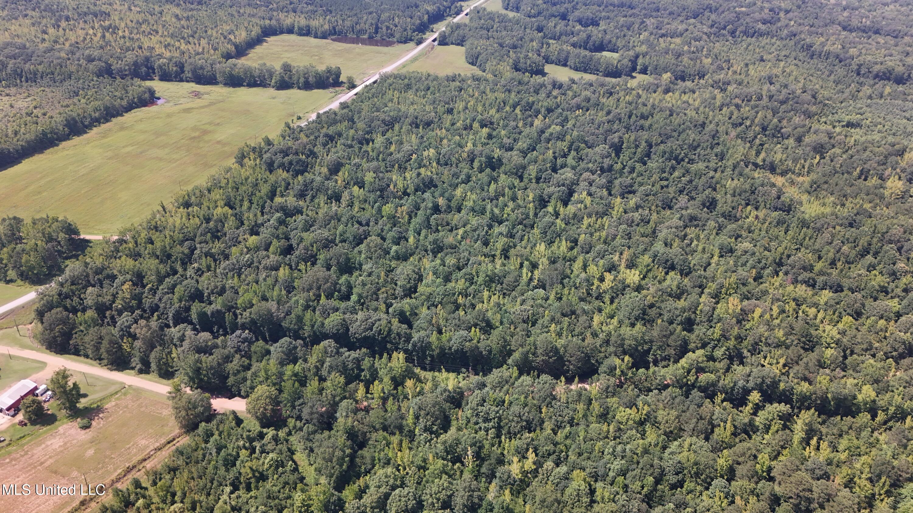 Pearson Road Stewart, MS 39767 - Photo 32 of 55 DJI_20250703154755_0846_D