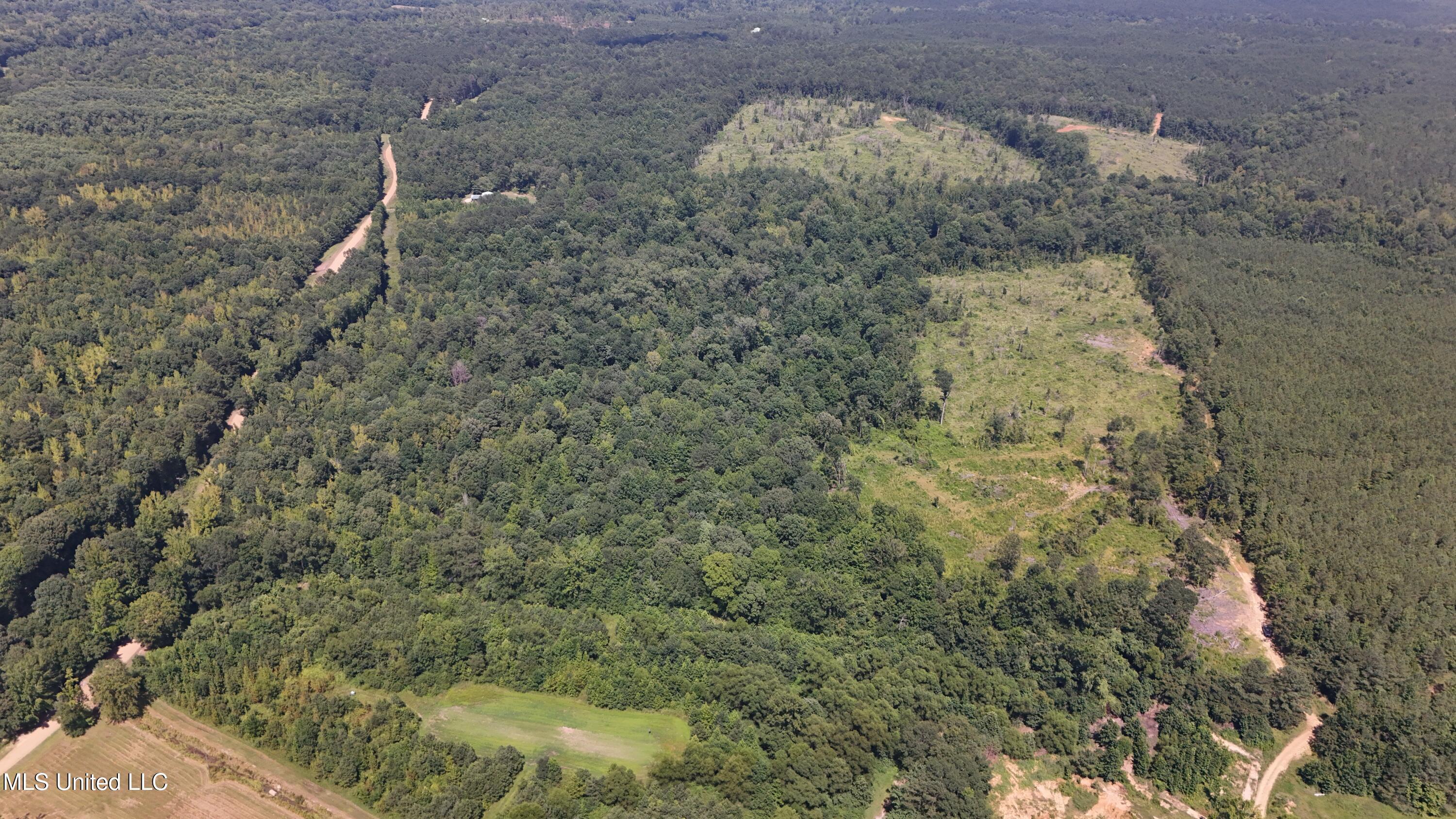 Pearson Road Stewart, MS 39767 - Photo 33 of 55 DJI_20250703154832_0847_D