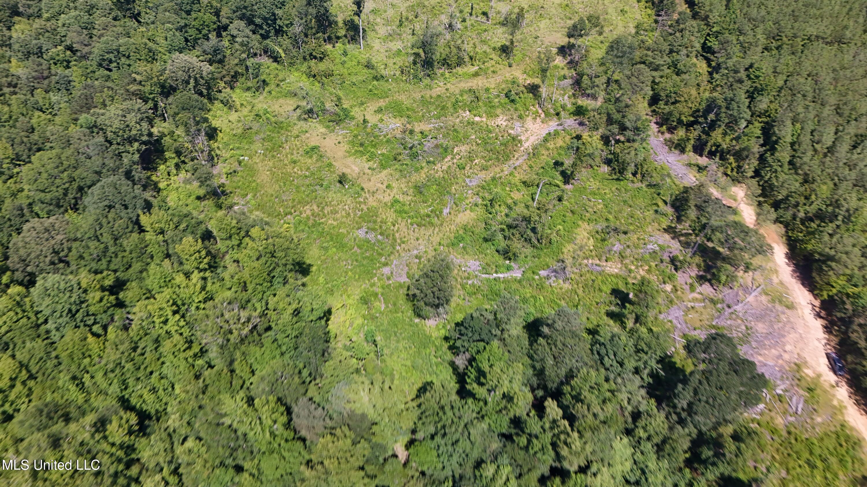 Pearson Road Stewart, MS 39767 - Photo 35 of 55 DJI_20250703154857_0849_D