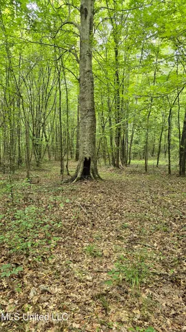 $142,800 | Pearson Road, Stewart, MS 39767