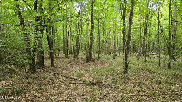 $142,800 | Pearson Road, Stewart, MS 39767