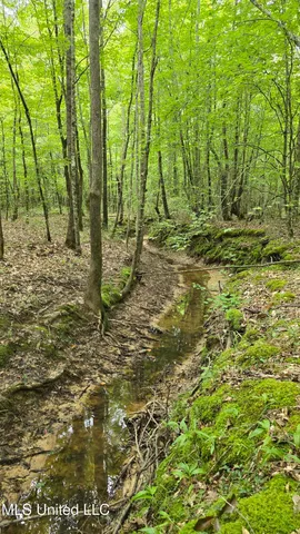 $142,800 | Pearson Road, Stewart, MS 39767