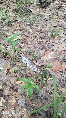 $142,800 | Pearson Road, Stewart, MS 39767