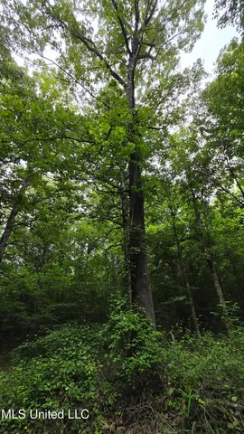 $142,800 | Pearson Road, Stewart, MS 39767