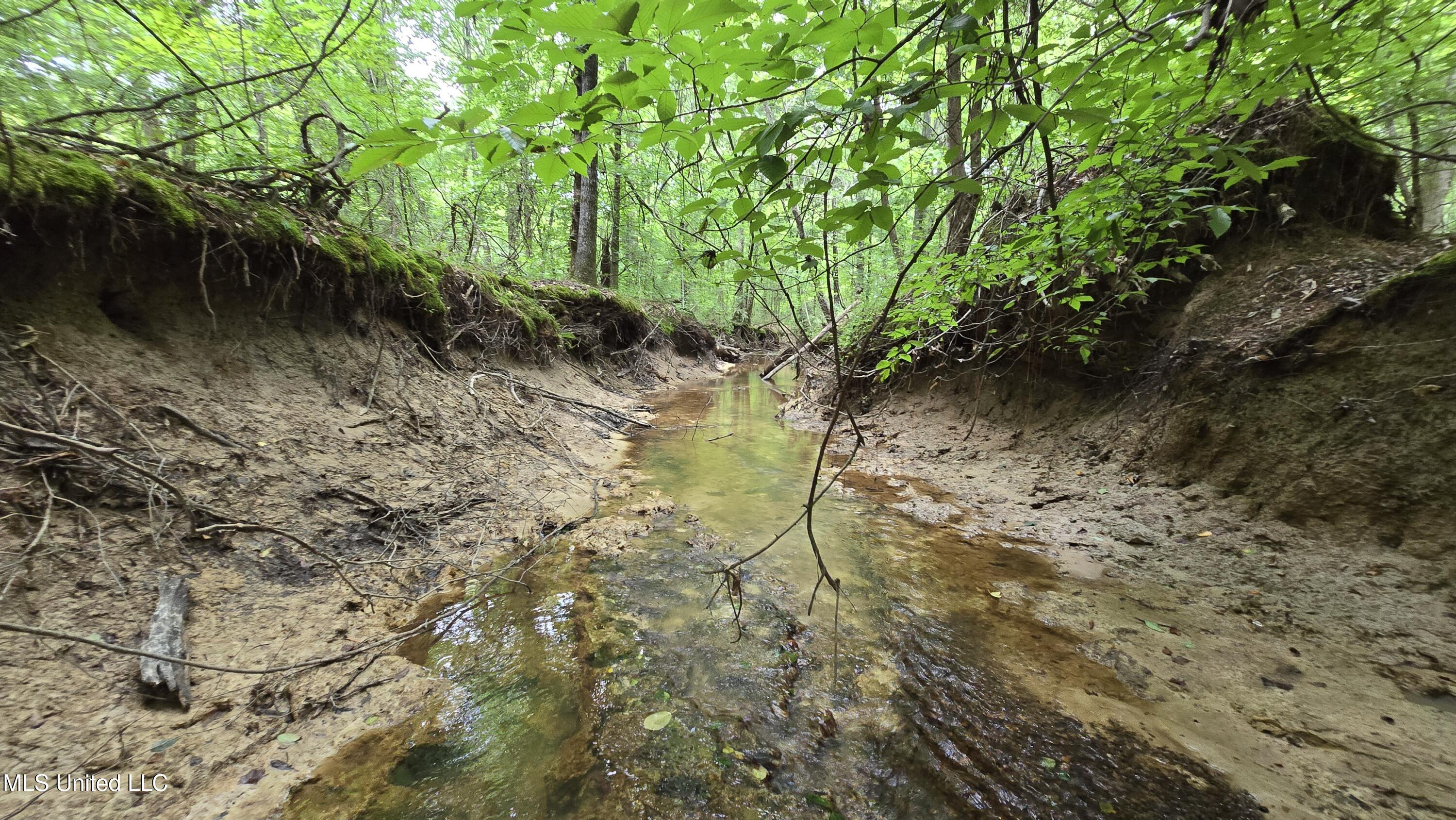 Pearson Road Stewart, MS 39767 - Photo 45 of 55 20250703_142555