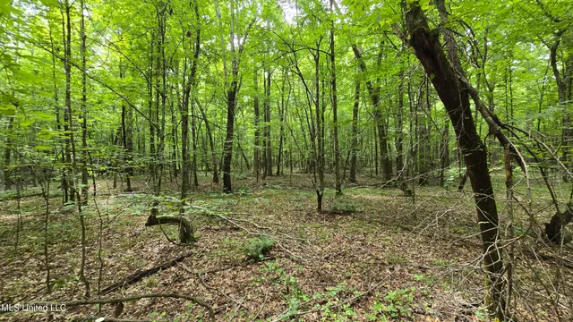 $142,800 | Pearson Road, Stewart, MS 39767