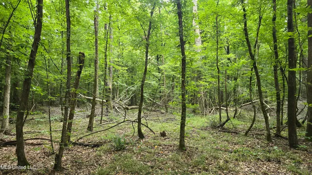 $142,800 | Pearson Road, Stewart, MS 39767