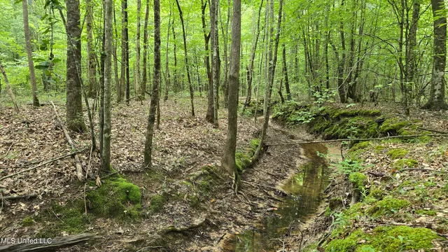 $142,800 | Pearson Road, Stewart, MS 39767