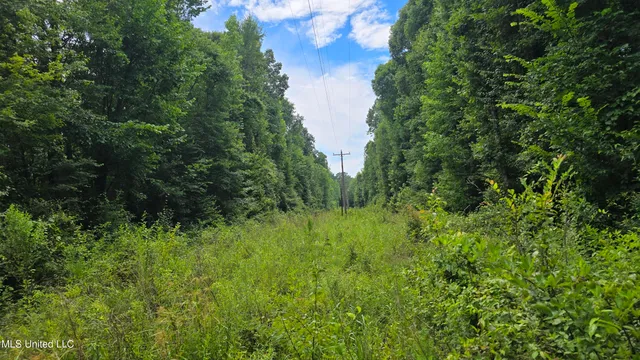 $142,800 | Pearson Road, Stewart, MS 39767