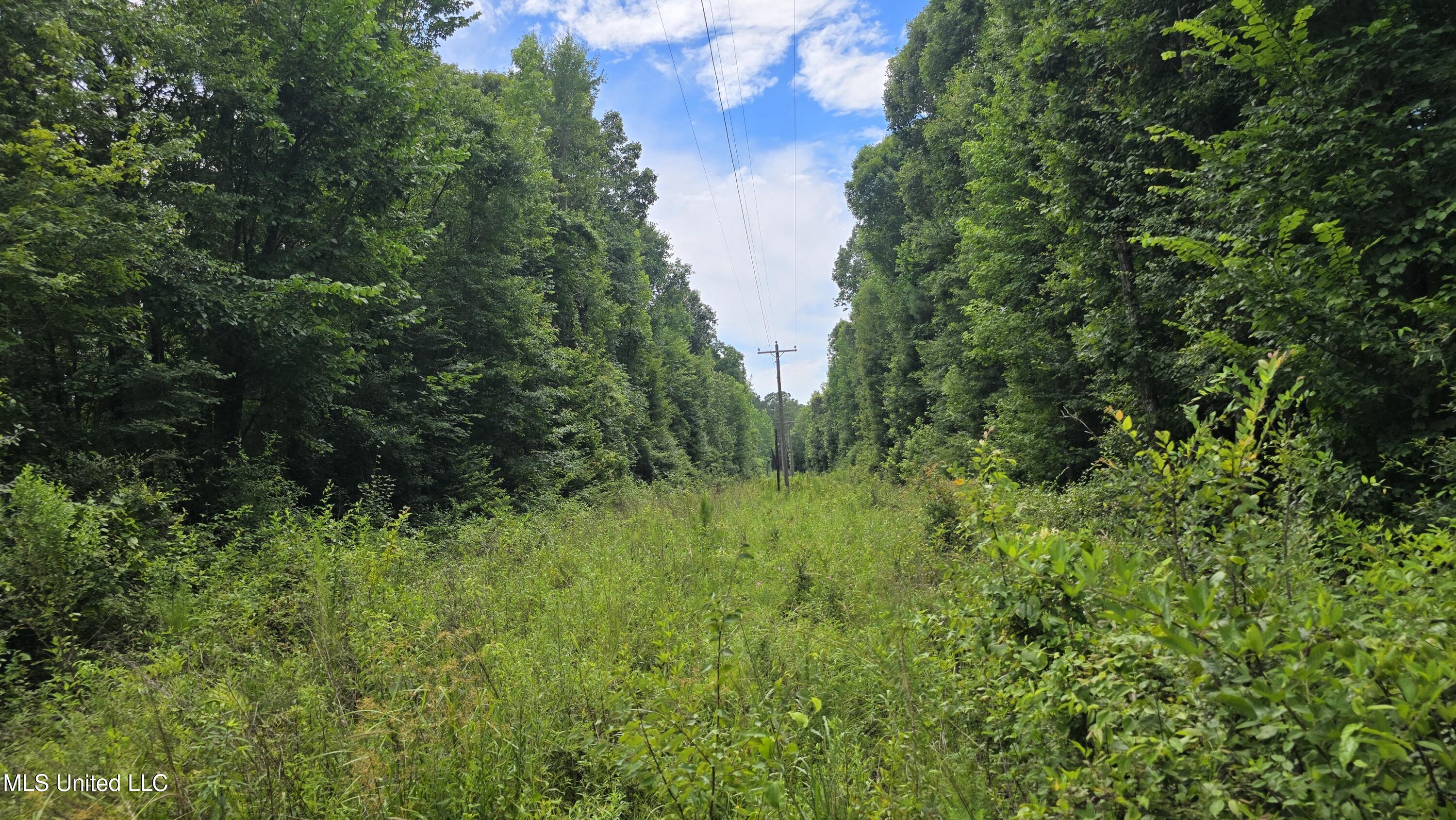 Pearson Road Stewart, MS 39767 - Photo 9 of 55 20250703_145031