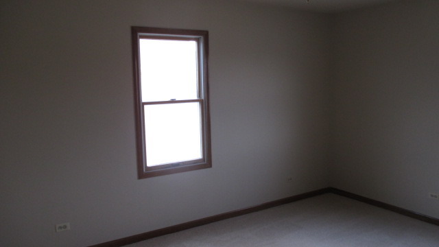 1702 Chestnut Hill Road Plainfield, IL 60586 - Photo 15 of 25