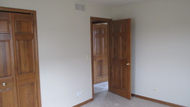 1702 Chestnut Hill Road Plainfield, IL 60586 - Photo 17 of 25