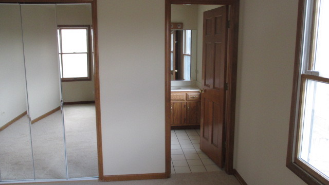 1702 Chestnut Hill Road Plainfield, IL 60586 - Photo 19 of 25