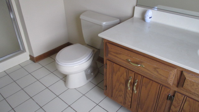 1702 Chestnut Hill Road Plainfield, IL 60586 - Photo 20 of 25