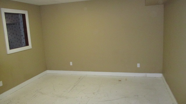 1702 Chestnut Hill Road Plainfield, IL 60586 - Photo 22 of 25
