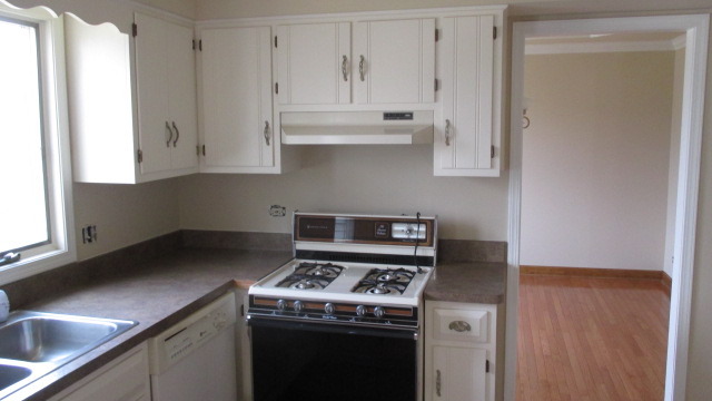 1702 Chestnut Hill Road Plainfield, IL 60586 - Photo 5 of 25