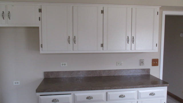1702 Chestnut Hill Road Plainfield, IL 60586 - Photo 6 of 25
