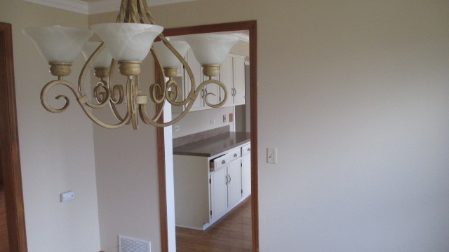 1702 Chestnut Hill Road Plainfield, IL 60586 - Photo 9 of 25