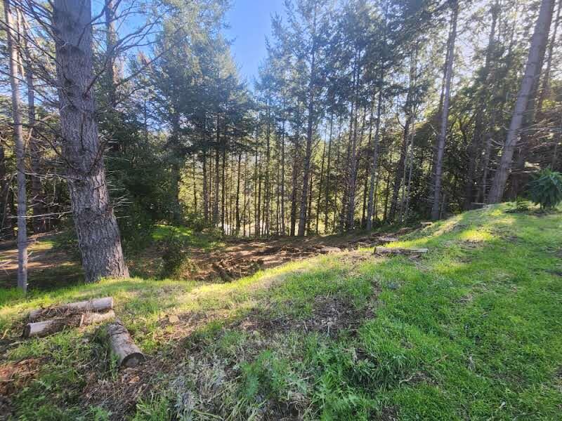 181 Ridge Road Shelter Cove, CA 95589 - Photo 5 of 9