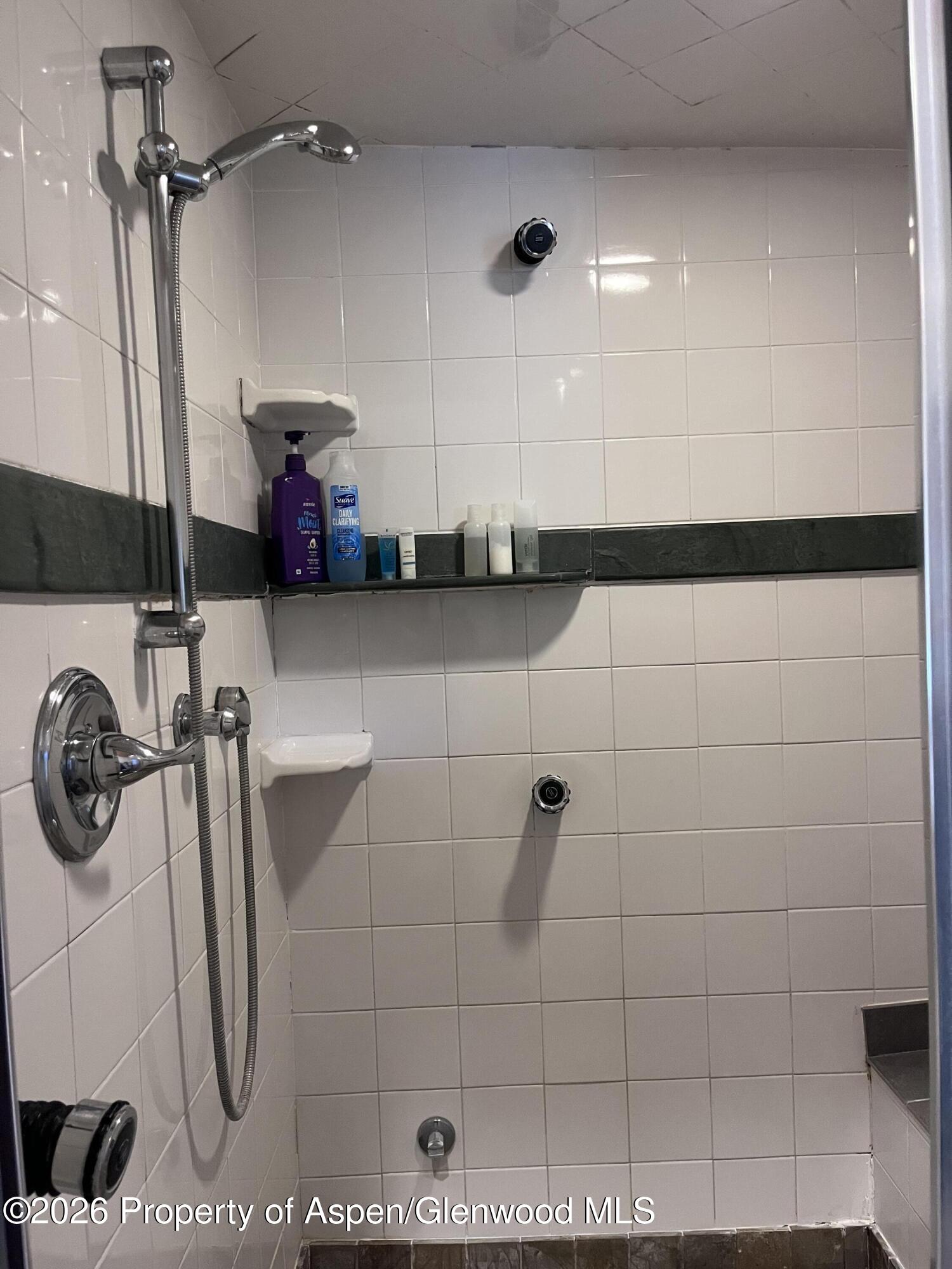 135 Lewis Lane Basalt, CO 81621 - Photo 13 of 25 Primary shower w steam