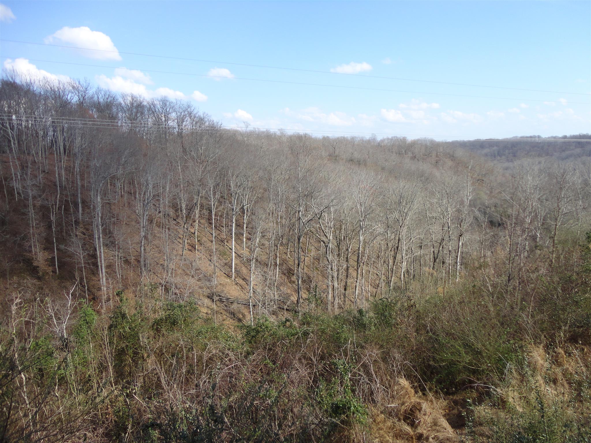 2478 Hurricane Ridge Road Smithville, TN 37166 - Photo 15 of 15 Valley views for miles!