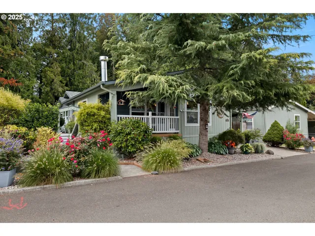 a view of a garden with plants