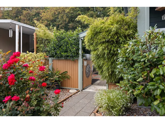a view of a potted flower in a yard with potted plants
