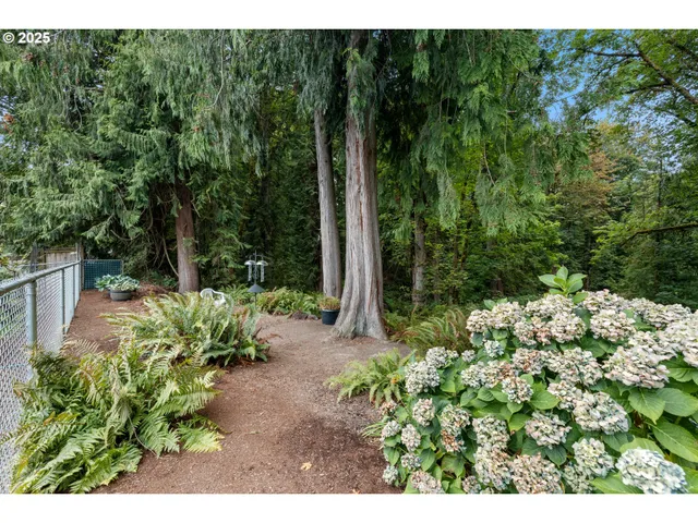 a backyard of a house with lots of green space