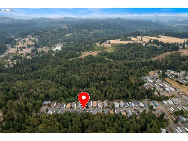 a black and white photo of a picture